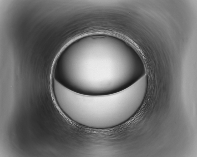 X0000096171536200801180820