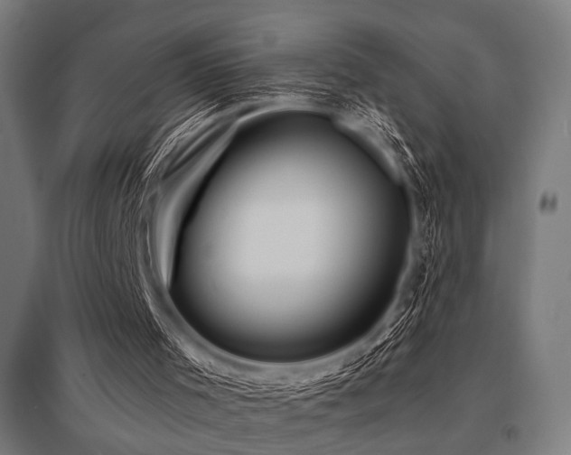 X0000096170001200801181300