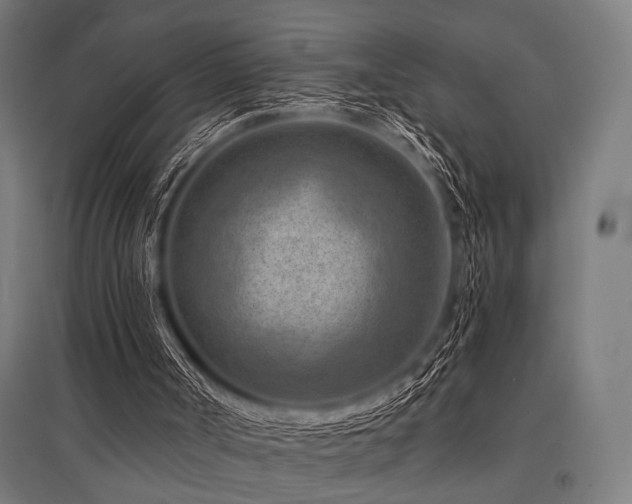 X0000096170002200801181300