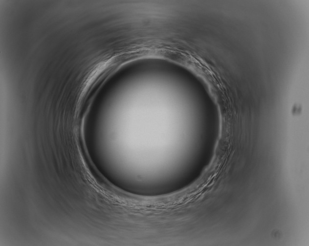 X0000096170003200801181300