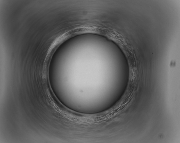 X0000096170004200801181300