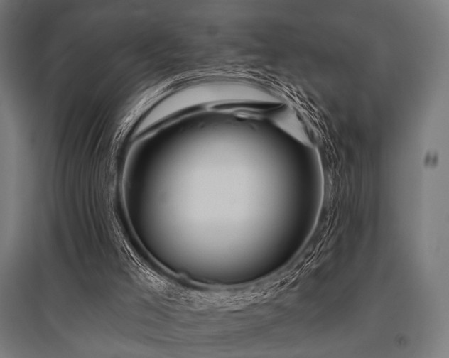 X0000096170005200801181300