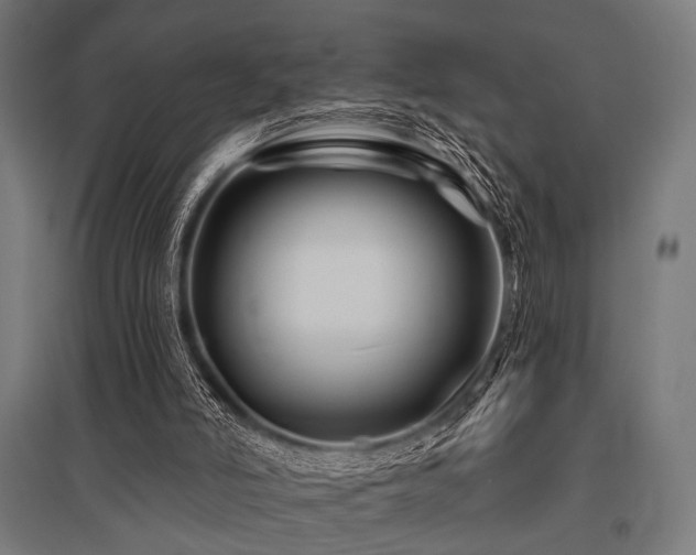 X0000096170006200801181300
