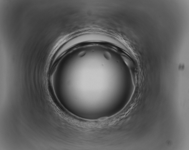 X0000096170007200801181300