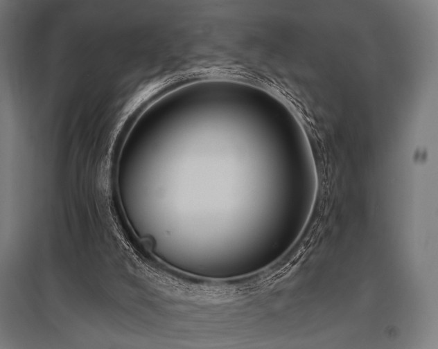 X0000096170008200801181300