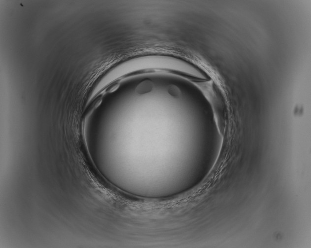 X0000096170009200801181300