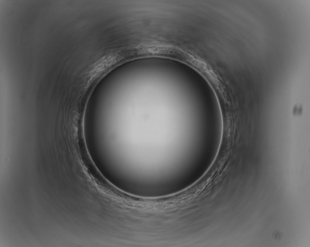 X0000096170010200801181300