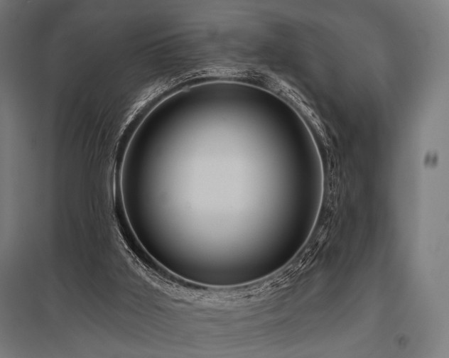 X0000096170011200801181300