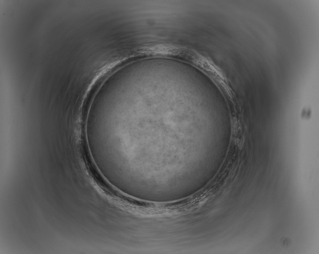 X0000096170012200801181300
