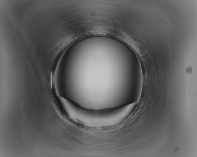 X0000096170013200801181300