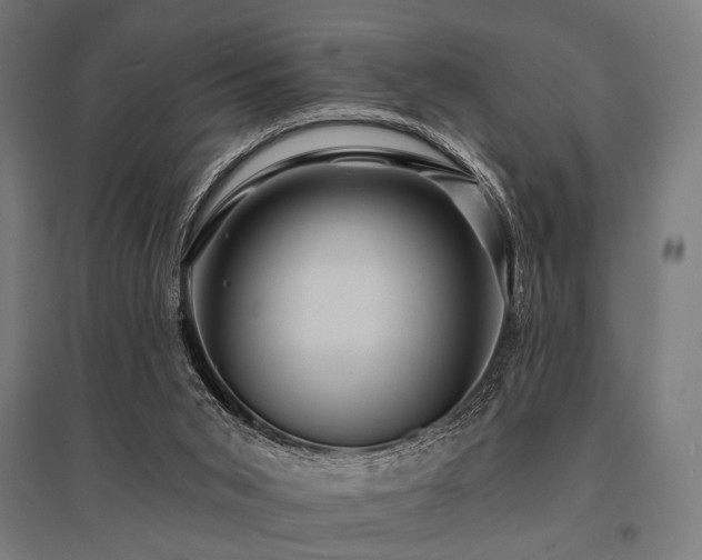 X0000096170015200801181300
