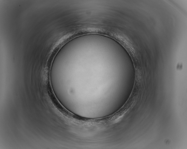 X0000096170016200801181300