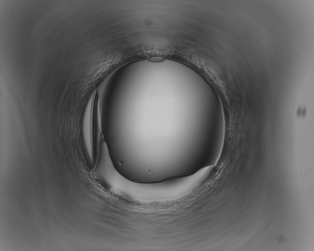 X0000096170017200801181300
