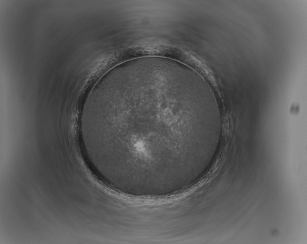 X0000096170018200801181300