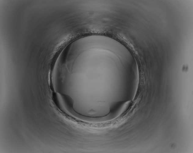 X0000096170019200801181300