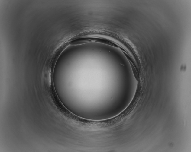 X0000096170020200801181300