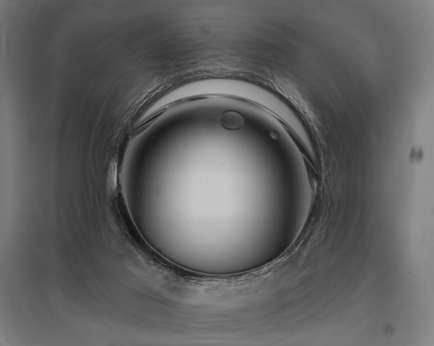 X0000096170021200801181300