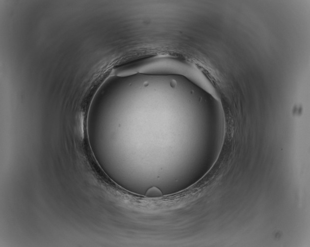 X0000096170022200801181300