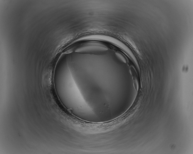X0000096170023200801181300