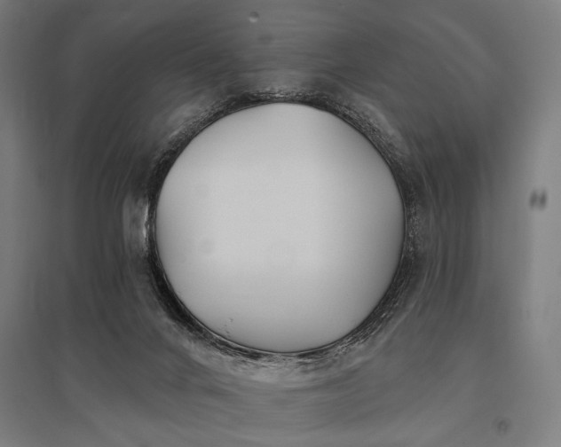 X0000096170024200801181300