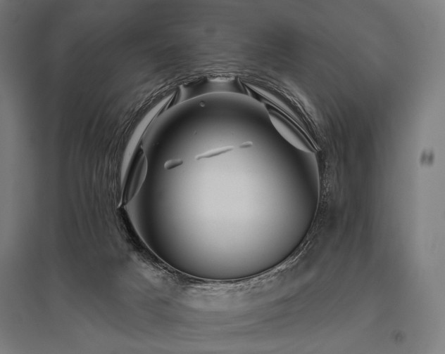 X0000096170025200801181300