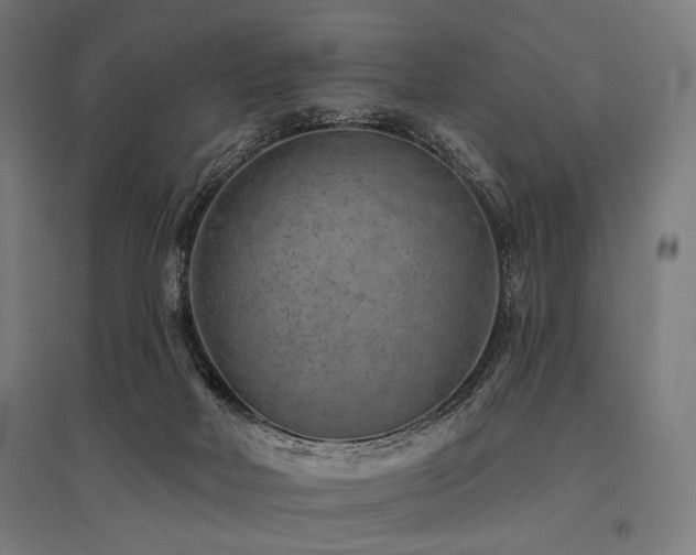 X0000096170026200801181300