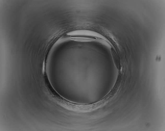 X0000096170027200801181300