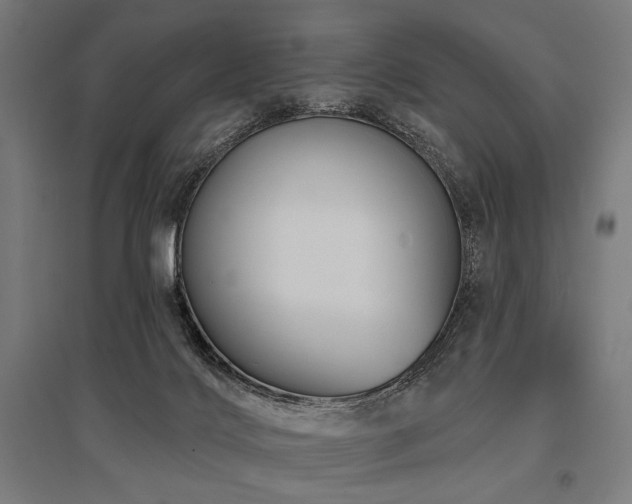 X0000096170028200801181300