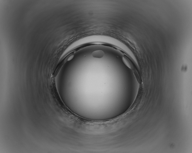 X0000096170029200801181300