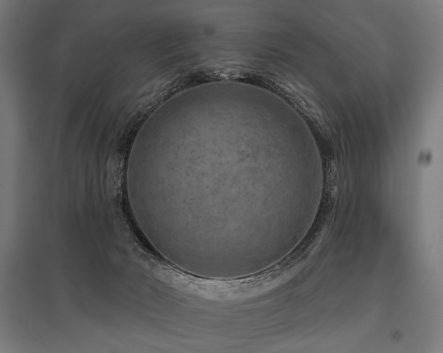 X0000096170030200801181300