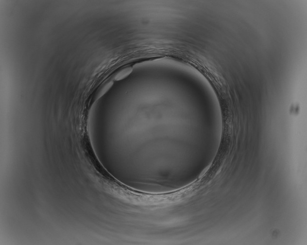 X0000096170031200801181300