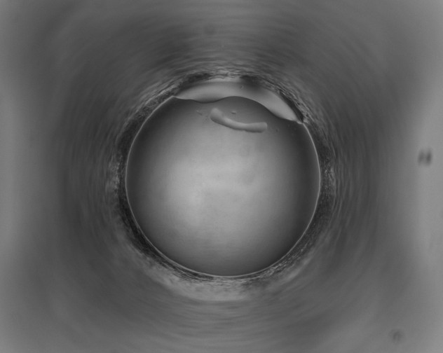 X0000096170032200801181300