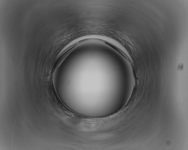 X0000096170033200801181300