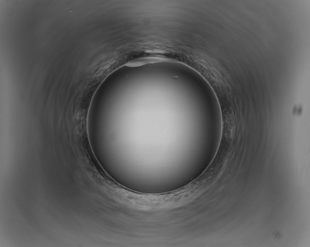 X0000096170034200801181300