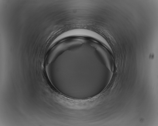 X0000096170035200801181300