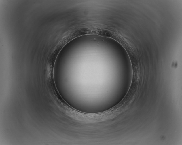X0000096170038200801181300