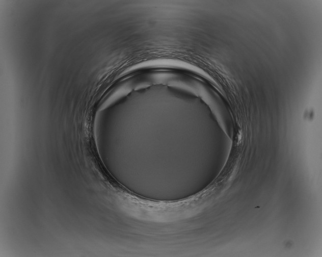 X0000096170039200801181300
