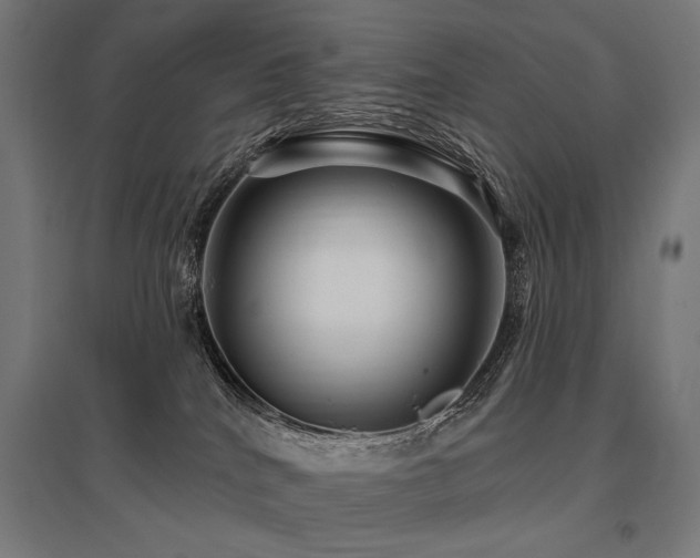 X0000096170040200801181300