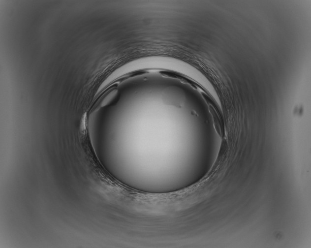 X0000096170041200801181300