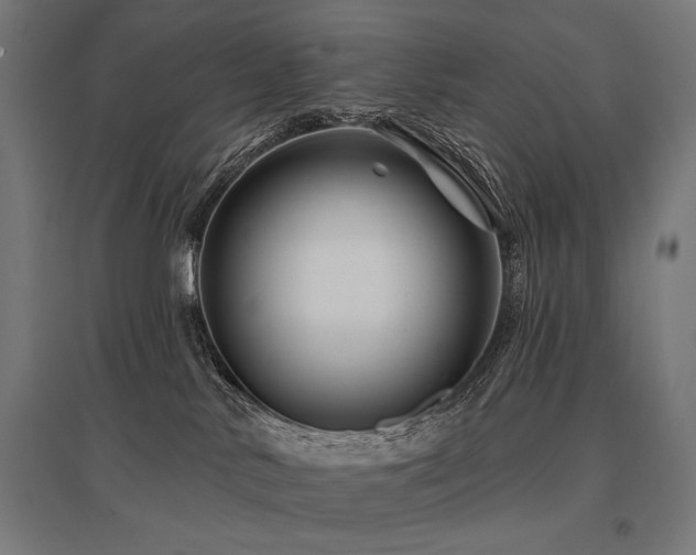 X0000096170042200801181300