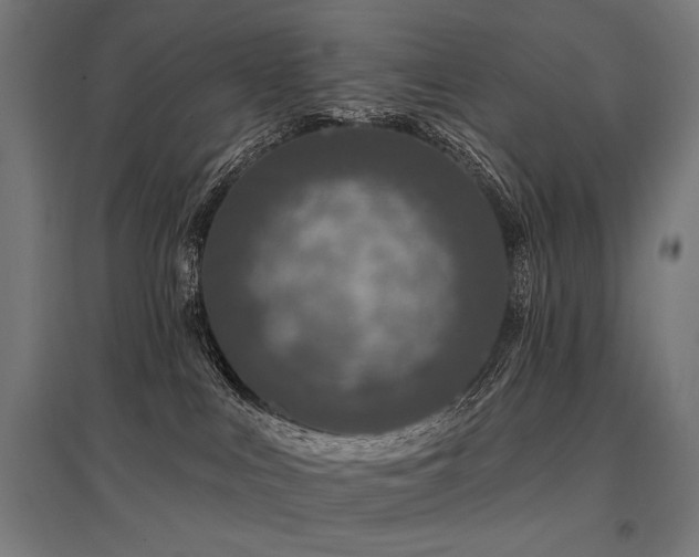 X0000096170043200801181300