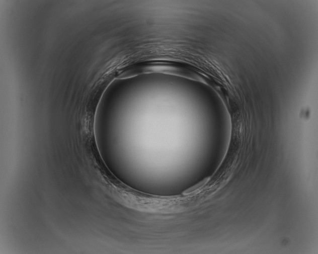 X0000096170044200801181300