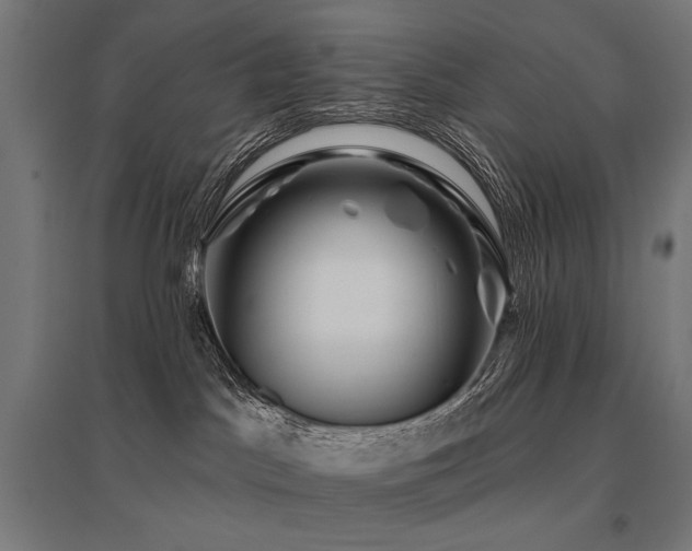 X0000096170045200801181300