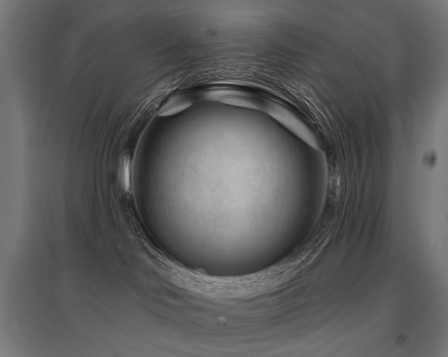 X0000096170046200801181300