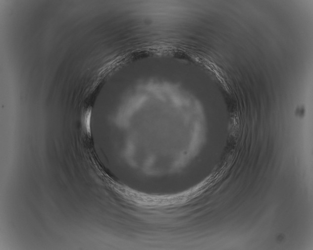 X0000096170047200801181300