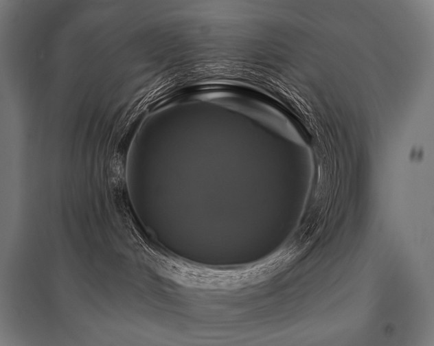 X0000096170048200801181259