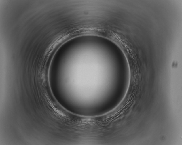 X0000096170050200801181259