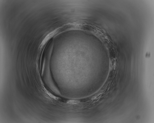 X0000096170051200801181259