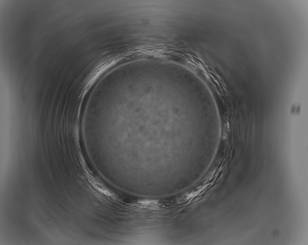 X0000096170052200801181259