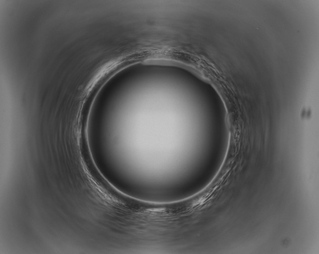 X0000096170054200801181259